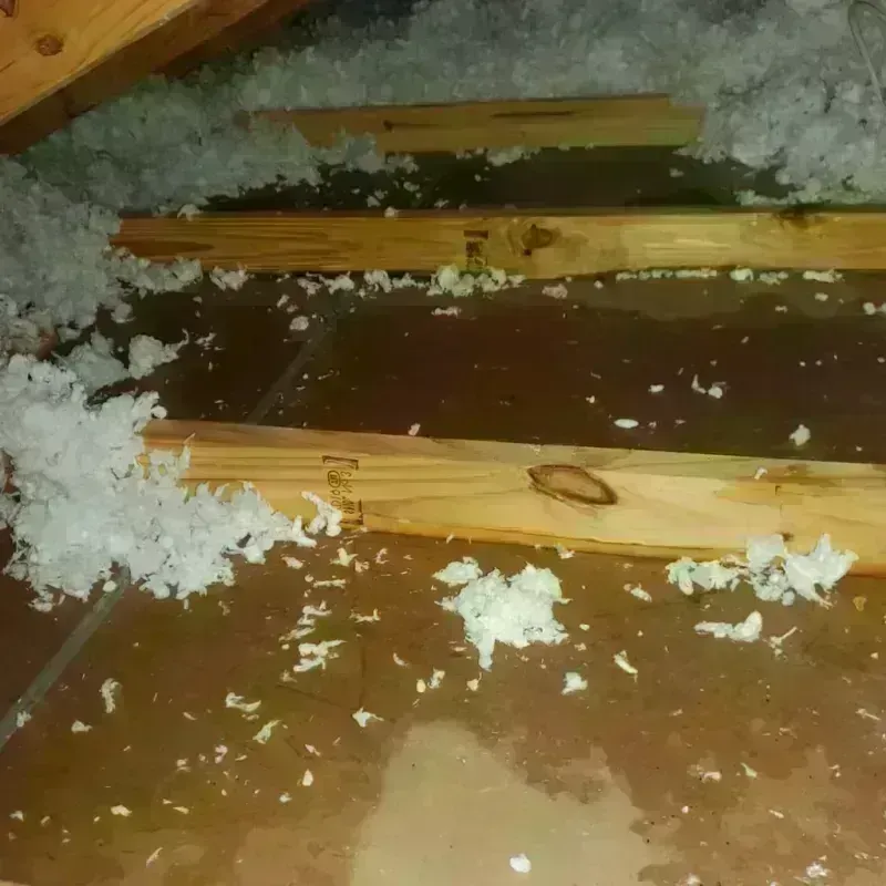 Attic Water Damage in Kennedale, TX