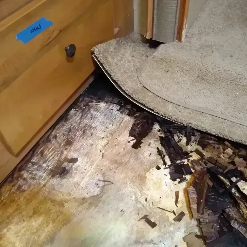 Wood Floor Water Damage in Kennedale, TX